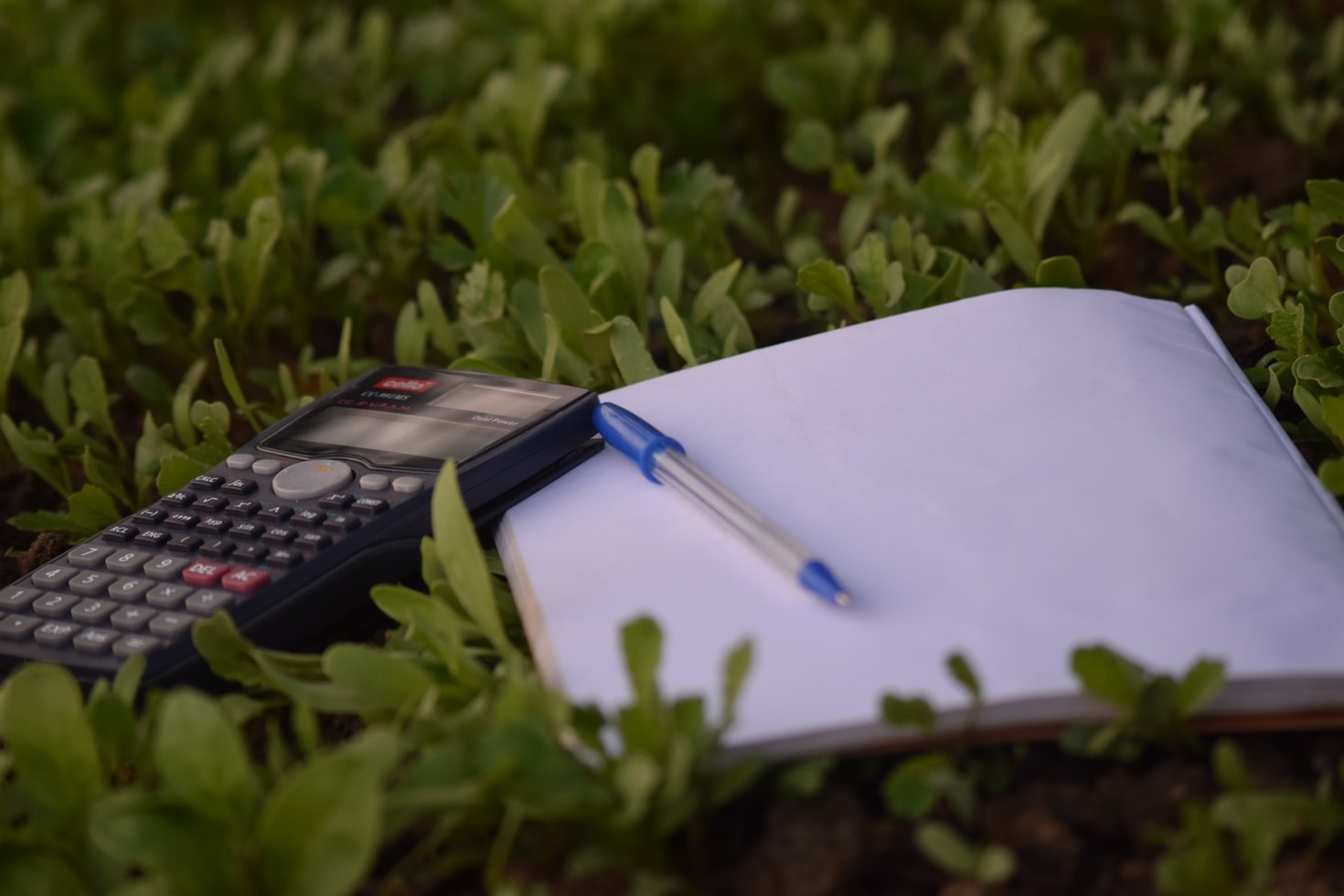 The Impact Of Accurate Reporting On Business Decisions